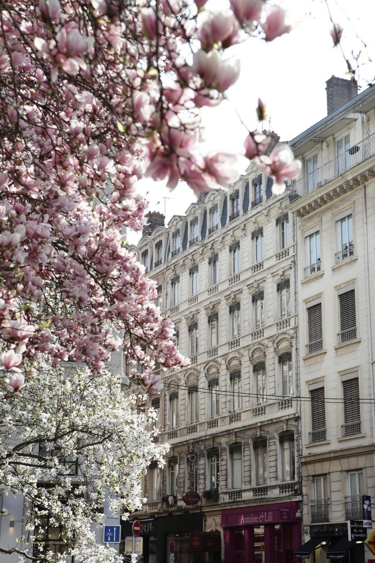 Hotel des Celestins Lyon Extérieur photo